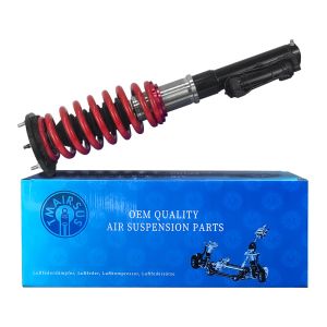 Car Whole Set Coil Shock Absorber with Yes Surface Finish Buyers