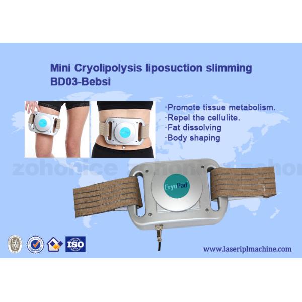 Mini Home Use Beauty Device Cryolipolysis Freeze Fat Pads Machine Cryotherapy
