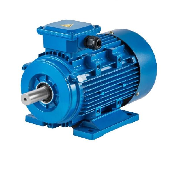 Low Noise High Efficiency 3 Phase Motor PMSM 500kw Maintenance Free For Plastic