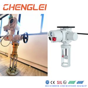 ATEX Certified Explosion Proof Electric Linear Actuator with IP65/IP67/IP68