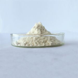 China wholesale immuno-enhancement griffonia seed extract in bulk on sale