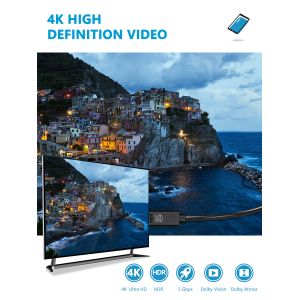 6.6ft 1080P Phone To Hdmi Adapter , Sync Screen Digital Av Adapter