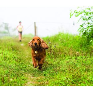 Summer products ultrasonic pest repeller in dog cat pest control