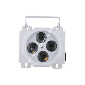 Cheap Mini 4 Eyes 4 Patterns Disco Stage Lights 30W RGBW LED Effect Light