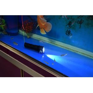 10W 960 Lumem Rechargeable LED Flashlight 3500mAh 26650 Rechargeable Battery