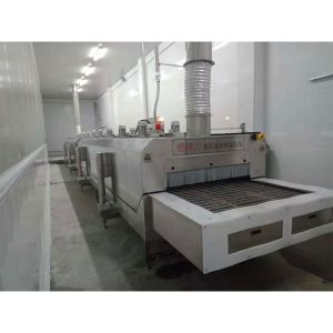 2000KG/H Mesh Belt Tunnel Freezer