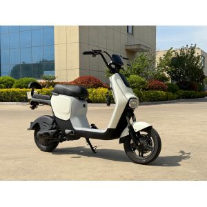 Cheap L1-D 350W Electric Two-Wheeler for sale