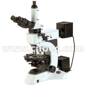 Comparison Polarizing Light Microscope Transmitted Light Microscopes CE A15.1019
