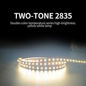 120 Light Flexible SMD 2835 LED Strip Bathroom Mirror Light With Low Pressure 12