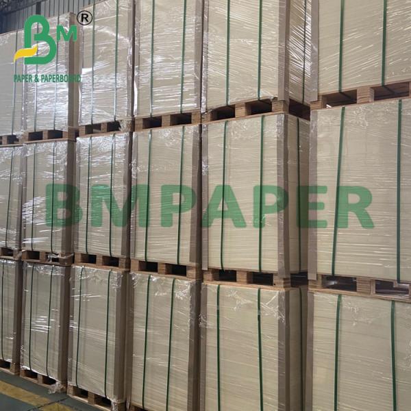 250g + 20g Cup Base Paper Single Side PE Coated Board 70 * 100cm 250g + 20g Cup Base Paper Single Side PE Coated Board 70 * 100cm