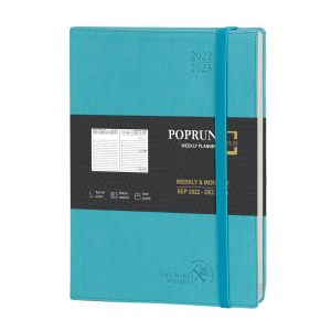 Donau Blue 2023 Academic Planner Personalized With Hourly Schedule