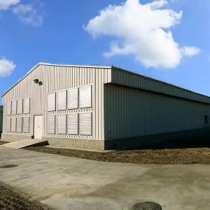 Modern Economical Steel Chicken Farm Customized Color Graphic Design