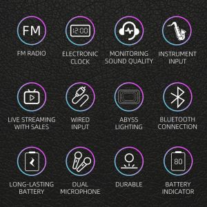 Wireless Karaoke Speaker and Microphone System for Parties L450*H280*D152 mm