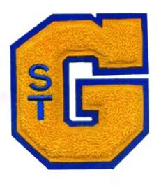 Custom embroidery chenille Hot Selling Promotion Custom Patch Embroidery patches