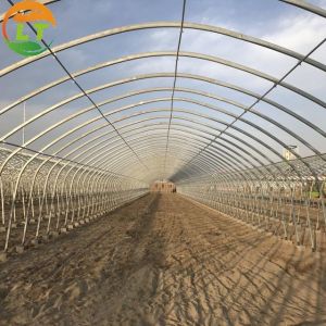 Double Layer Commercial Tunnel Greenhouse with Top Height of 2.8m-3.5m Double