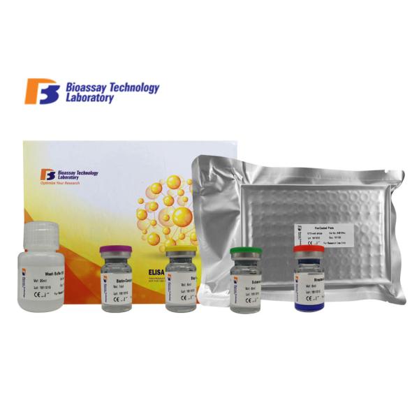 High Specificity and Sensitivity Mouse Matrix Gla Protein ELISA Kit 96 Wells