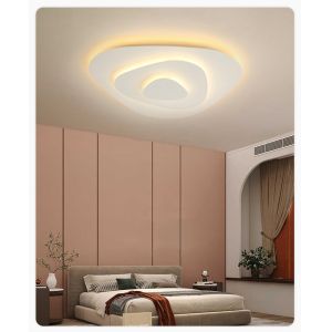 Creative Ceiling Lamp with Remote Control 40cm 50cm Led Lights Lighting