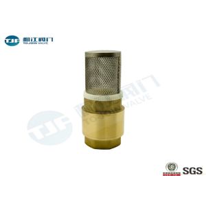 PN10 Brass Non Return Check Valve BSP Thread Ends Type With Stainless Strainer