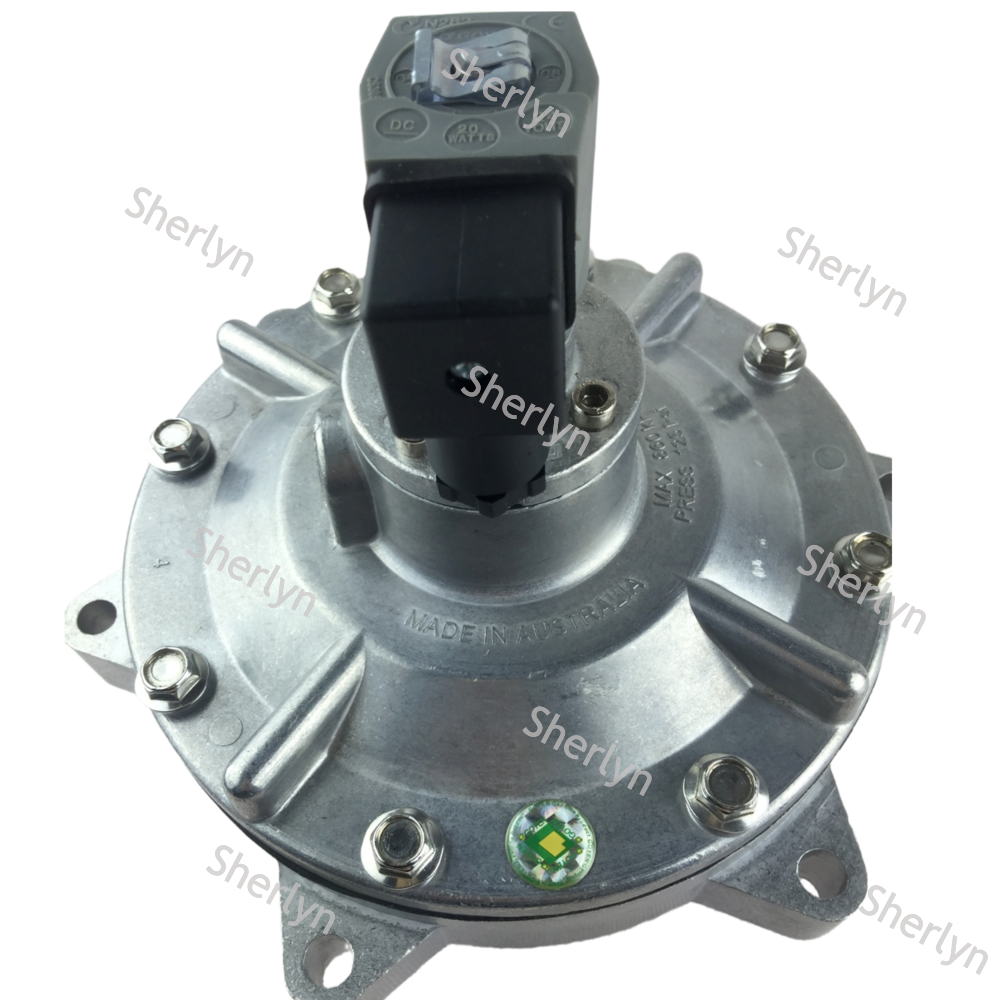 GOYEN CA102MM 4-inch '' Full Immersion Pulse Jet Valve For Bag Filter 24V DC