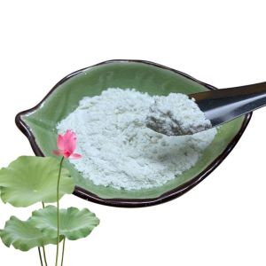 China Functional Lotus Leaf Extract 10% 50% 98% Nuciferine Powder Pharmaceutical Grade on sale