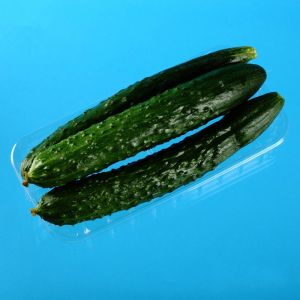 Supermarket 24*12*2.5cm Disposable Vegetable Trays