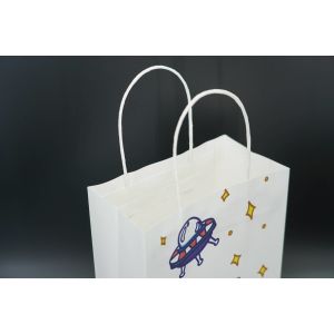 Shopping Custom Printed Paper Bags For Packaging Recycled use