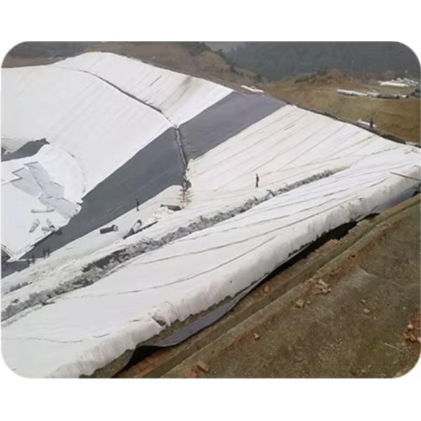 Short Filament Pet Polyester Geotextile Nonwoven Black And White Color Geosynthetic Materials Road Geotextiles