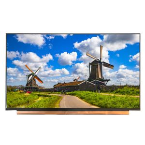 BOE WLED Backlit Flat Panel LCD Computer Monitor 16.0 Inch 1920*1080