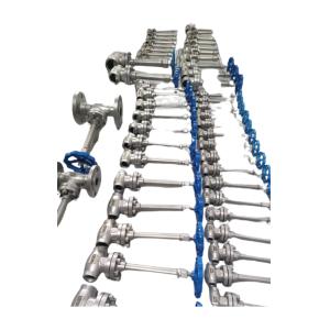 Welding End CF8 CF8M Long Stem Cryogenic Globe Valve Design for LNG/LOX/LN2/LAR