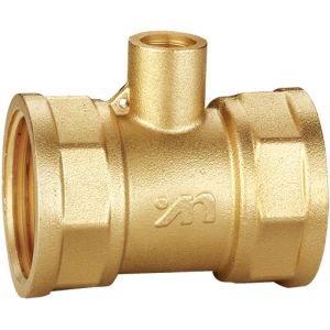 3002 Straight Way Female x Female Threaded Brass Fitting with M10 x 1 Outlet for