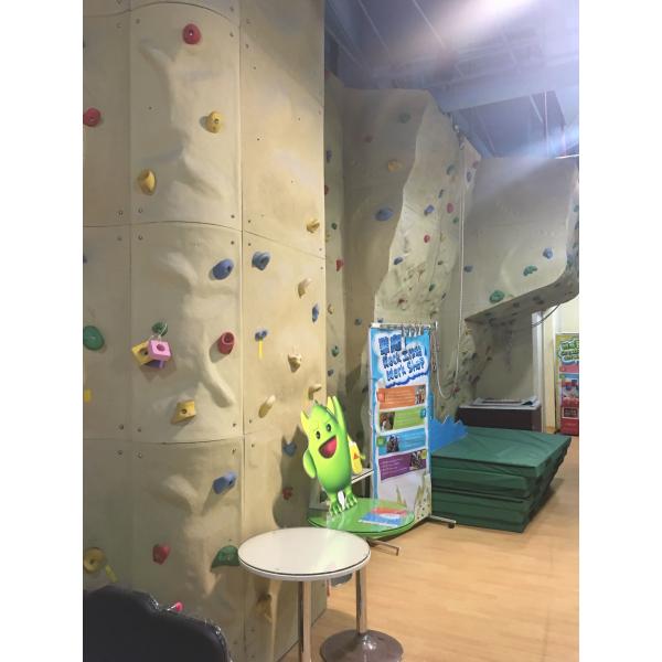 Quality Adjustable Plastic Playground Rock Wall 12m Height Eco Friendly wholesale