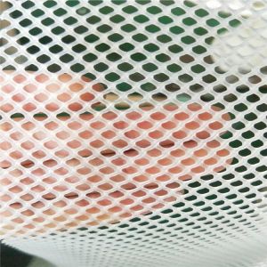 Wholesale poultry farming netting HDPE plastic poultry breeding mesh