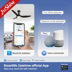 OEM 52in 6 Speed 3 ABS Blades Ceiling Fan With Light