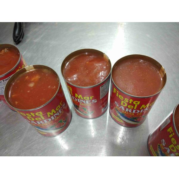 Quality Fine Taste Mackerel Canned Fish Natural Fishy Odor And Smell Normal Open Lid wholesale