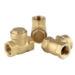 Screwed Thread Swing Check Valve