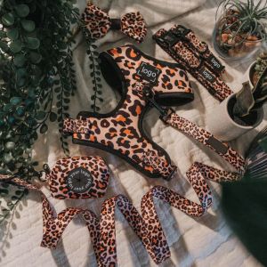 Pet Dog Harness Leash And Collar Set No Pull Neoprene Mesh Soft Dog Vest For Pet