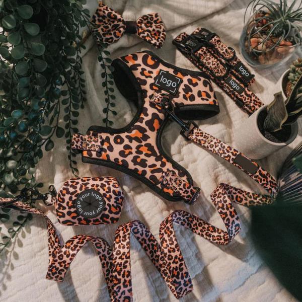 Pet Dog Harness Leash And Collar Set No Pull Neoprene Mesh Soft Dog Vest For Pet