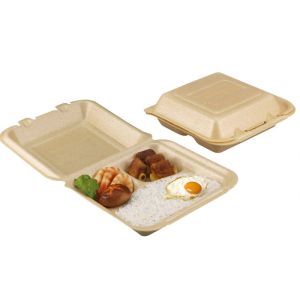 Biodegradable Corn Starch Disposable Foam Food Containers Lunch box Cup