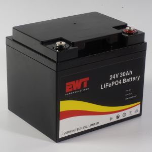 Industrial 24V Lithium Iron Phosphate Battery with 30A Maximum Continuous