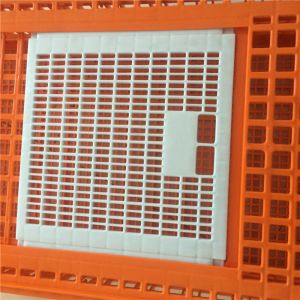 Pure PE Poultry Carrier Crate Chicken Transport Cage Customized