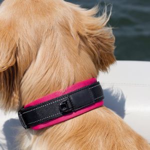 Reflective Plain Nylon Adjustable Webbing Dog Collars Padded XS S M L Custom