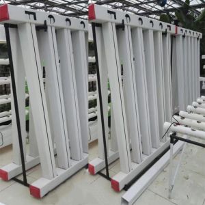 Skyplant Customized NFT Vertical Climate Control Hydroponic Growing Systems