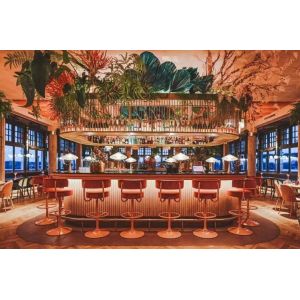 Versatile Scene Bar Stool Chairs Multi Color Tufted Backrest High Foot Bar Stool