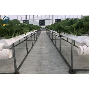 Greenhouse Hydroponic Vertical NFT Hydroponic System Soilless Vegetable Planting