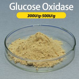 Cheap Yellow Glucose Oxidase Enzyme Powder Providing Enzyme Preparation Sample for sale