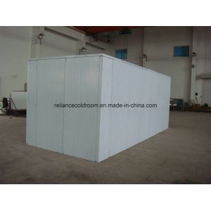 2*2*3m Small Cold Storage Room with Walk-in Function and Freon Refrigerant