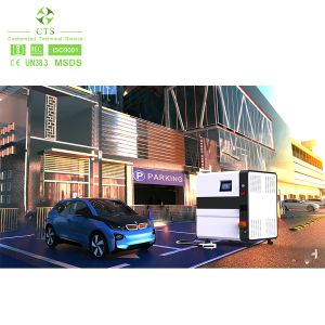 30kwh 65kwh 132kwh Ev Mobile Charger Station Lithium Battery With DC Charging