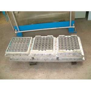 Free Moulding Pulp Egg Tray Machine Heavy Weight High Effective