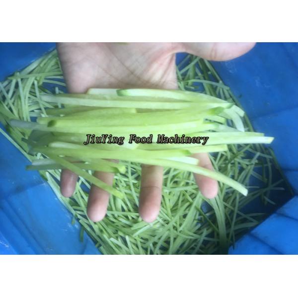 Commercial Ginger Carrot Shredding Vegetable Processing Equipment
