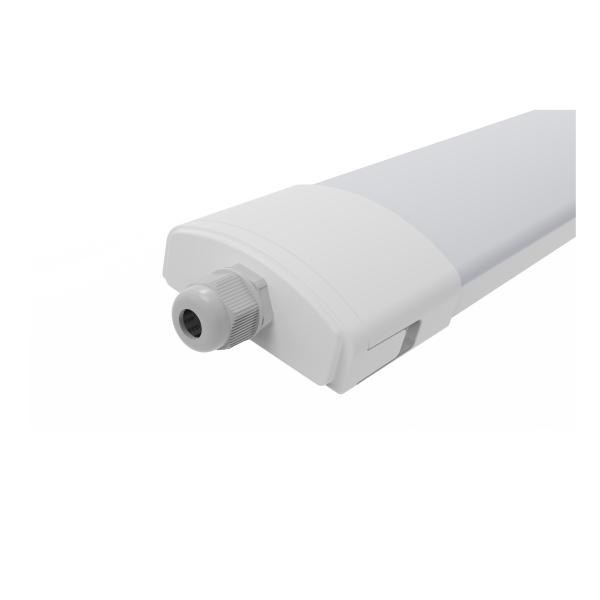 Quality DUALRAYS 600mm 20 Watt IP65 LED Triproof Light With Suspending Surface Mounted wholesale